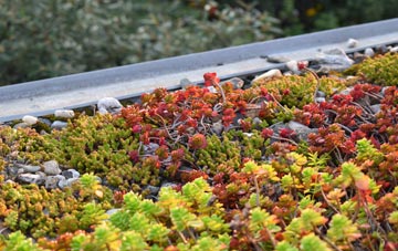 the cost of Ashby De La Zouch green roof installation